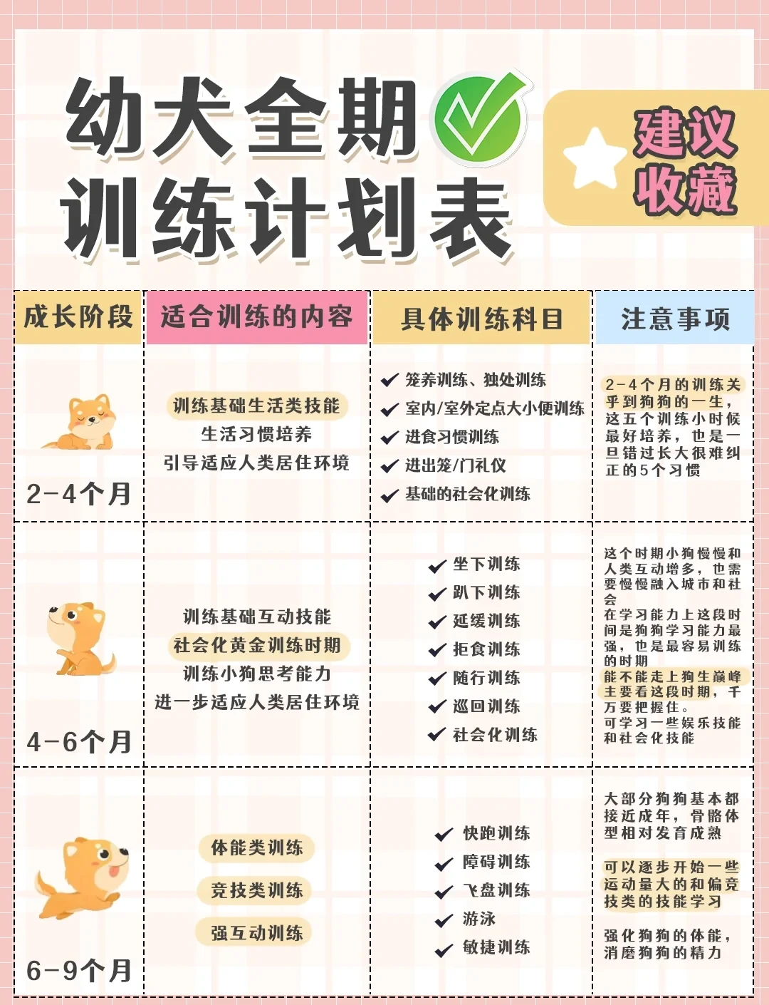 篮球教练训练总结心得体会_0